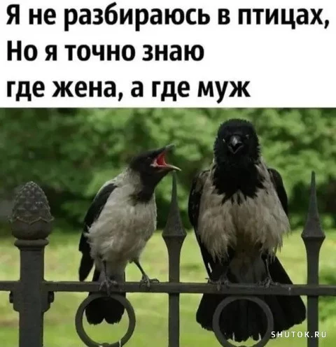 1624263016.webp
