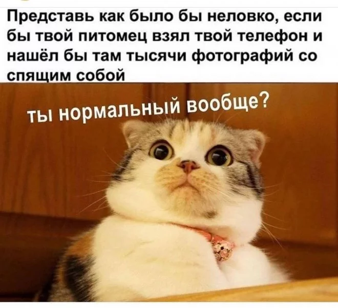 1627366603_pressa_tv_mem-13.webp