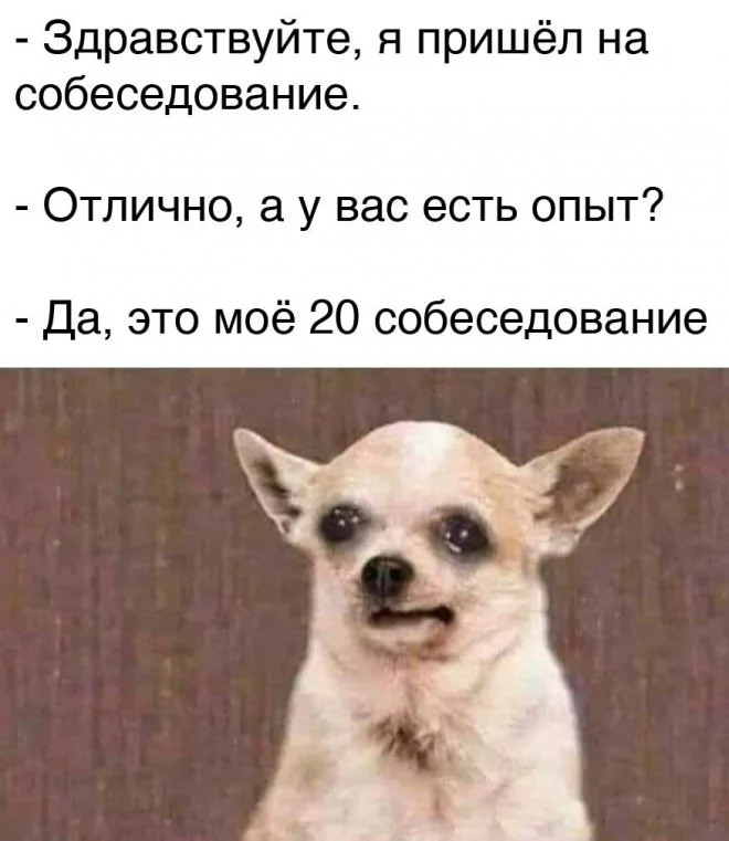 1627632016_pressa_tv_mem-22.webp