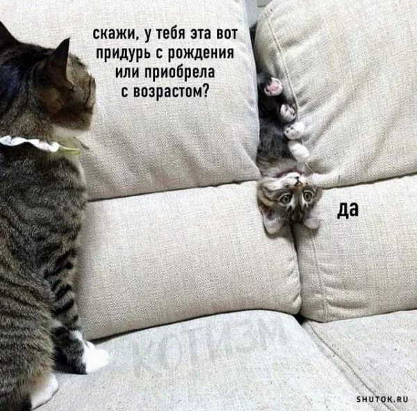 1627805435.webp