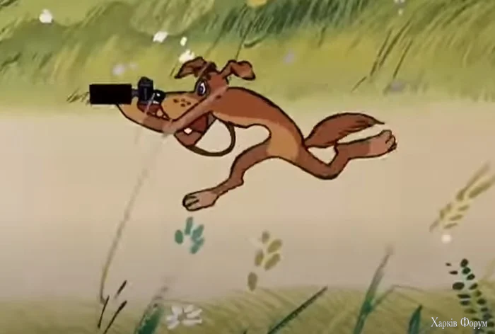 фоторужье