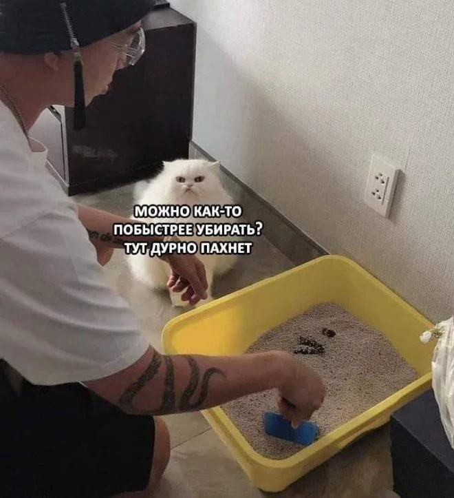 1635235456_pressa_tv_mem-22.webp