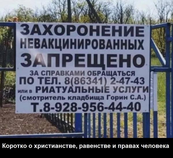 1637575855-9358aa25ee40b1646bf713a23837facf.jpg