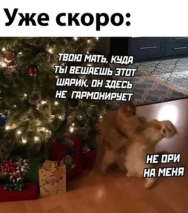 1638961003_pressa_tv_mem-17.webp