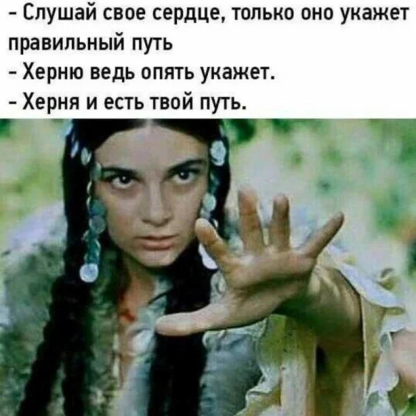 1643970690.webp