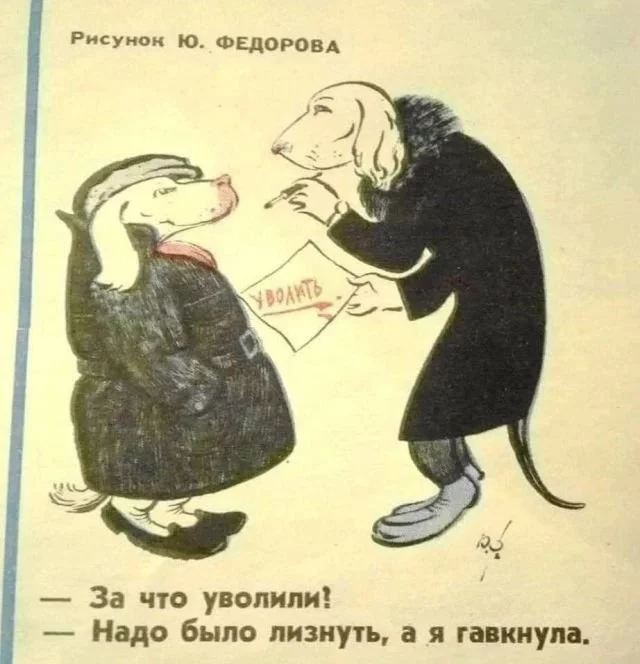 1645422567_224486_5_trinixy_ru.webp