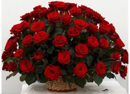 165068198461085568.webp