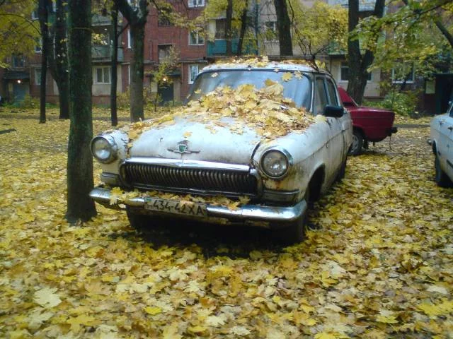 165078782.webp