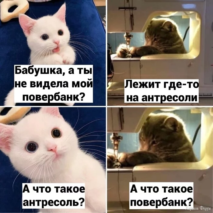 1653200996165682317.webp
