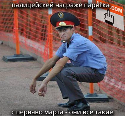 165835.webp