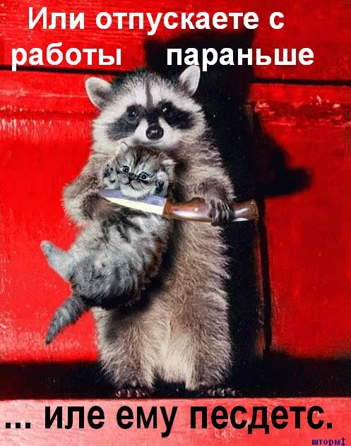 16584720_Terr.webp