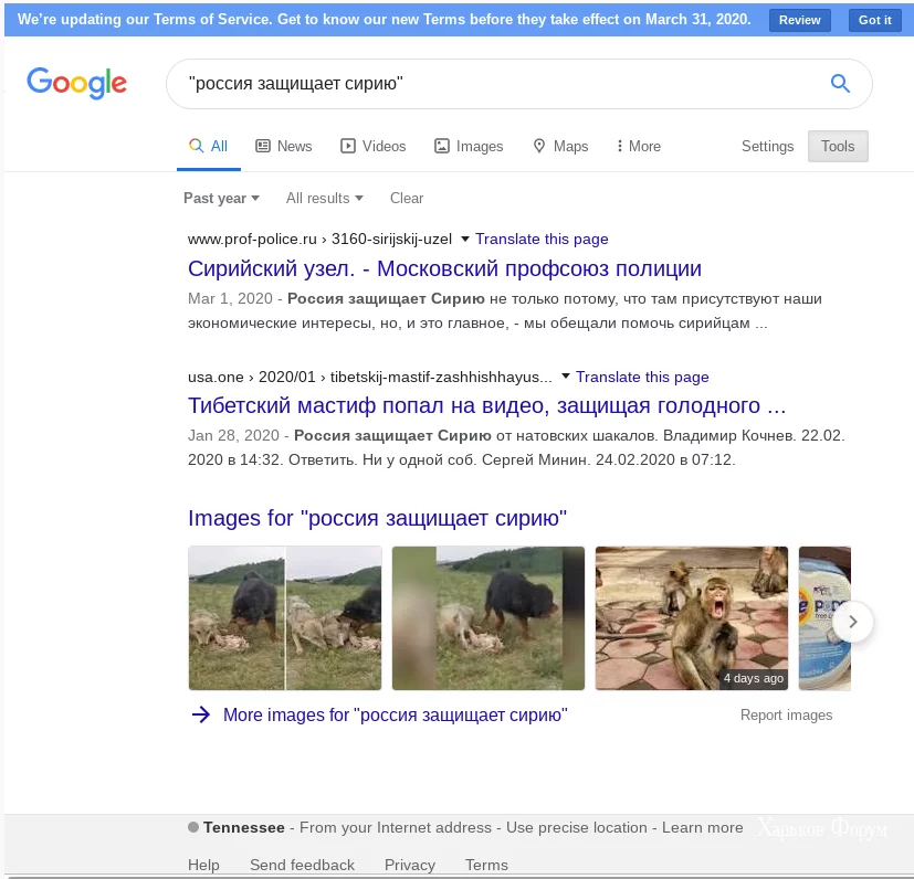 1659f5cf38bc6c6171.webp
