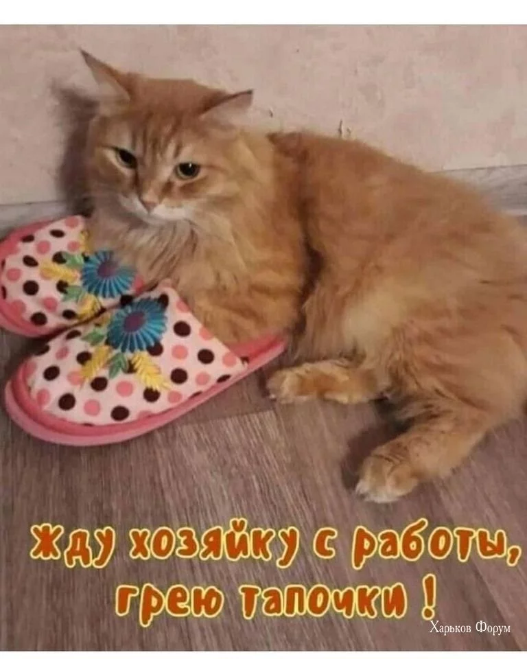 165c448e54d50b15a.webp