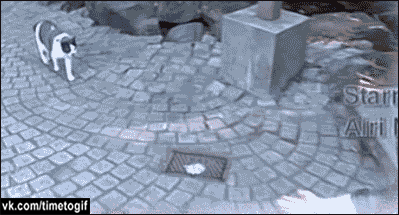 165f4b336ea32d51cadb99.gif