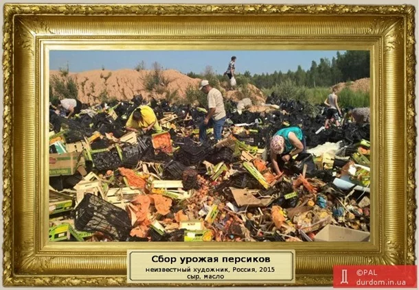 1664967.webp