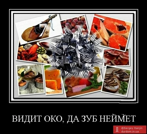 1664985.webp