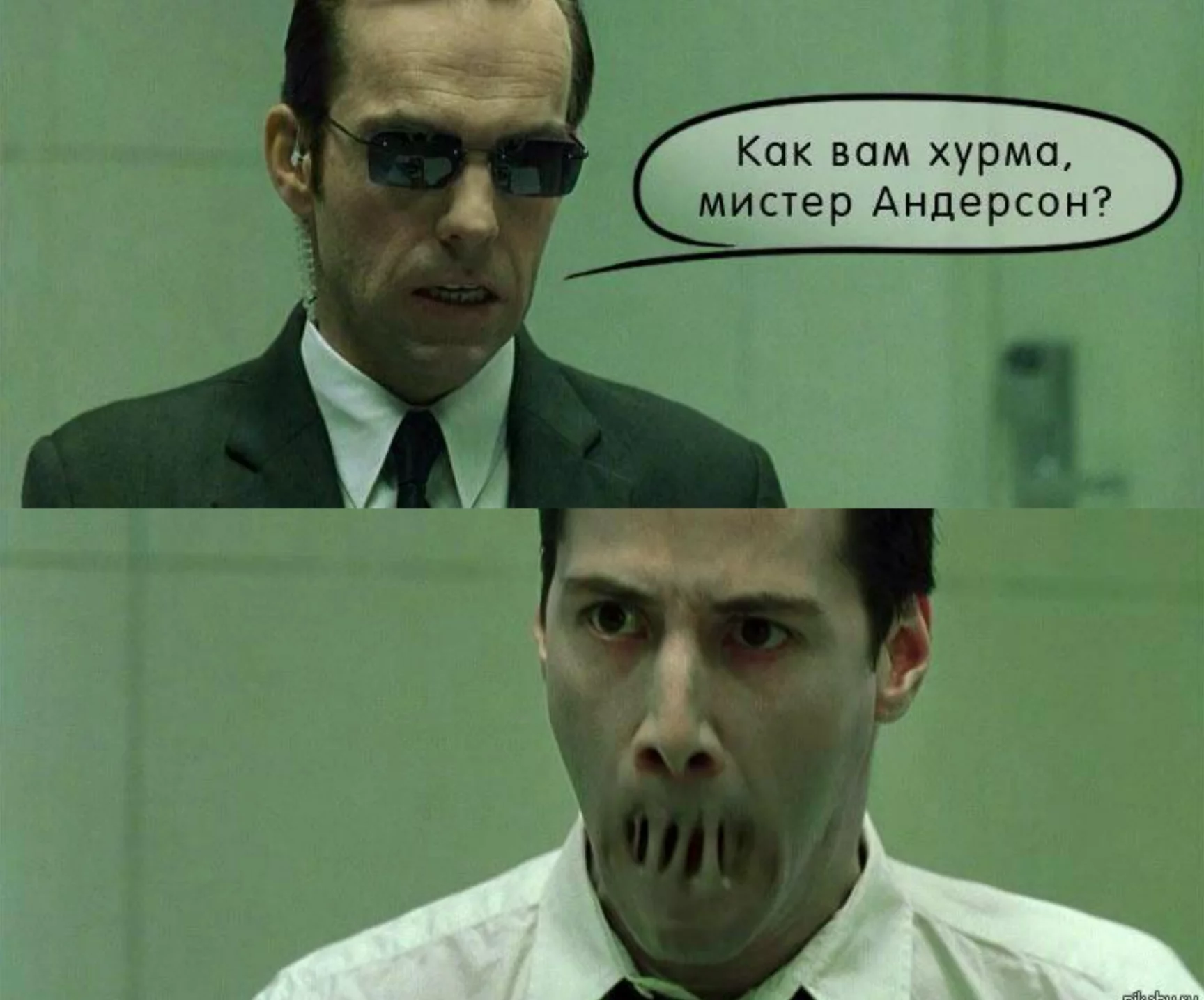 1668111690363.webp