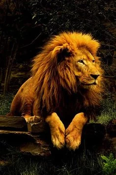 1675d0686bddb7bcd6e8fc822beefd5f.webp