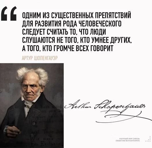 16773e638a5412565.webp