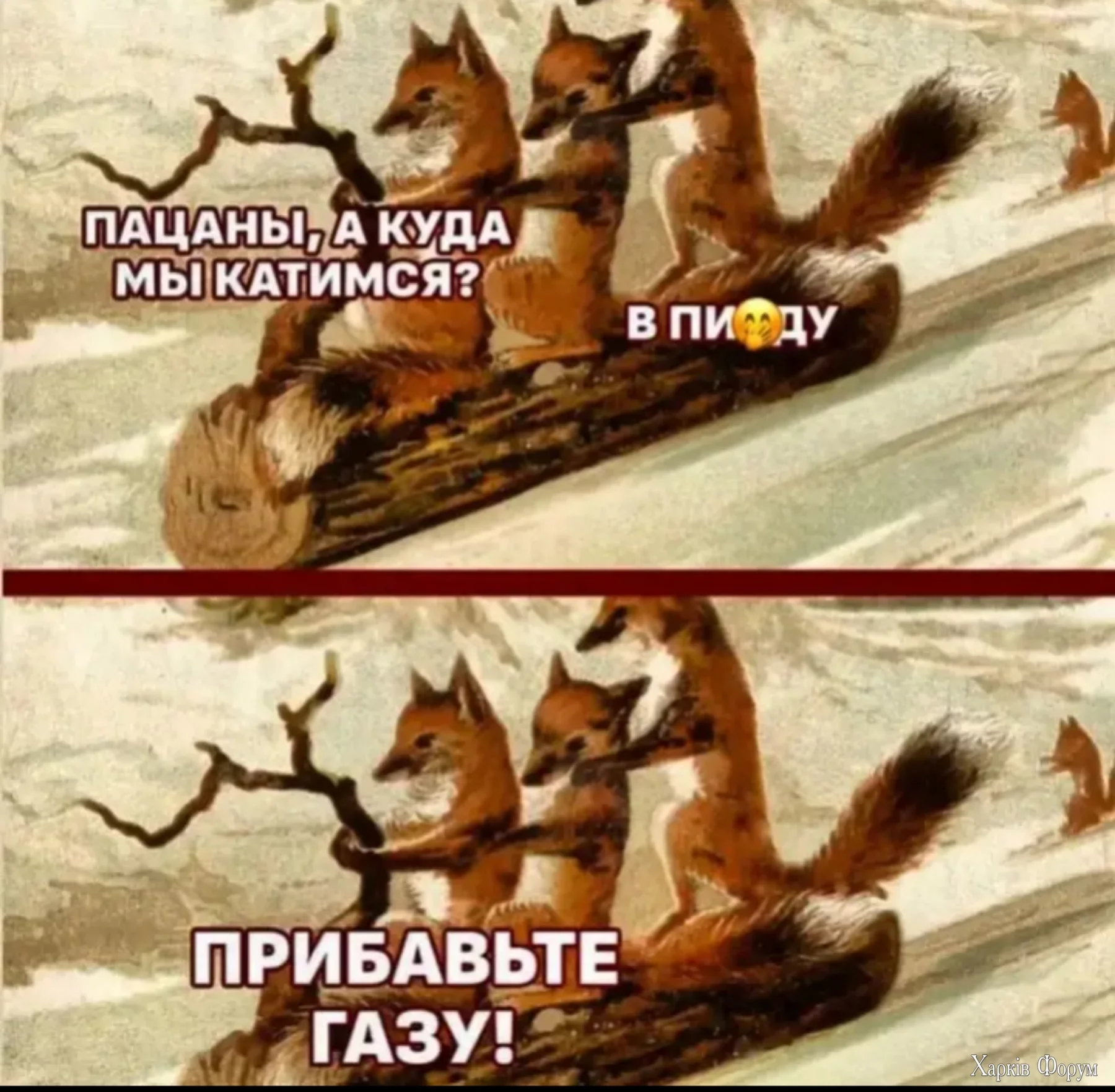 1678966865172556278.jpg