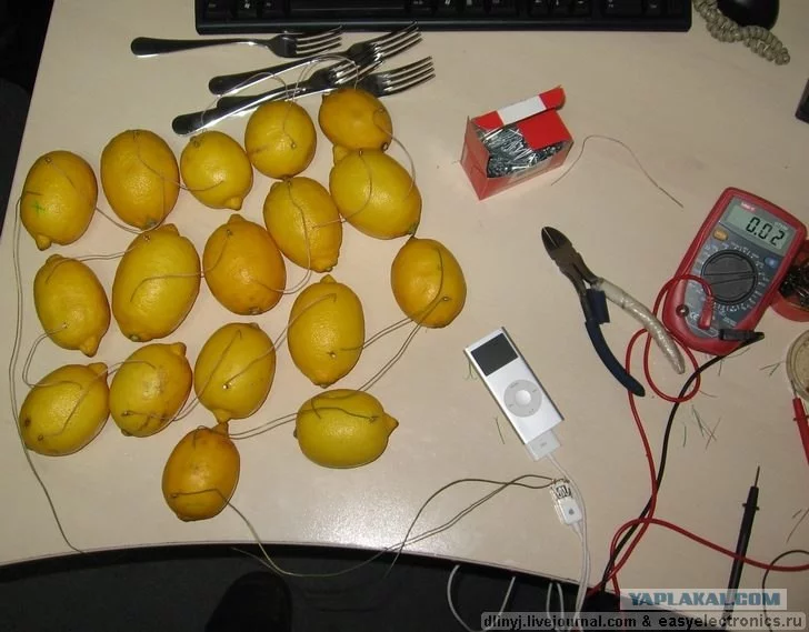 167907.webp