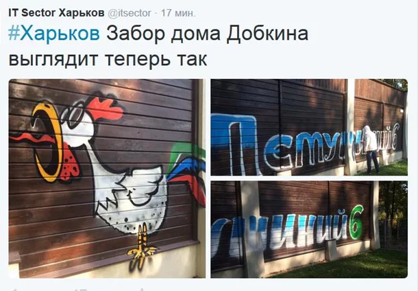 1686965.webp