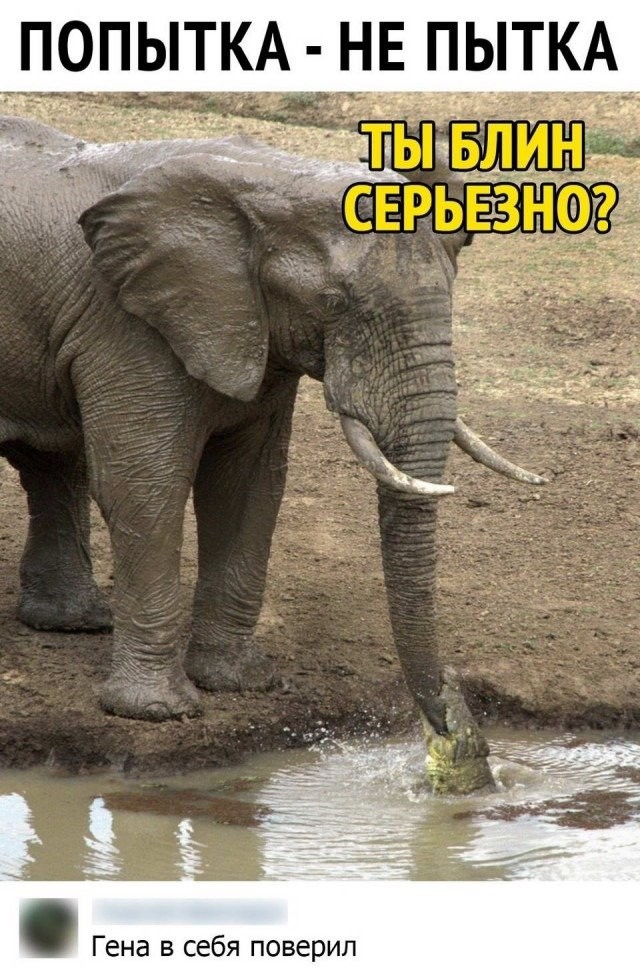 168c66f1a394594fc9.jpg