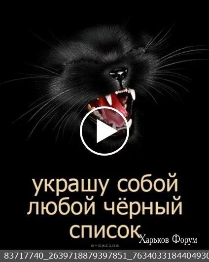 168e99588f8527b76b.webp
