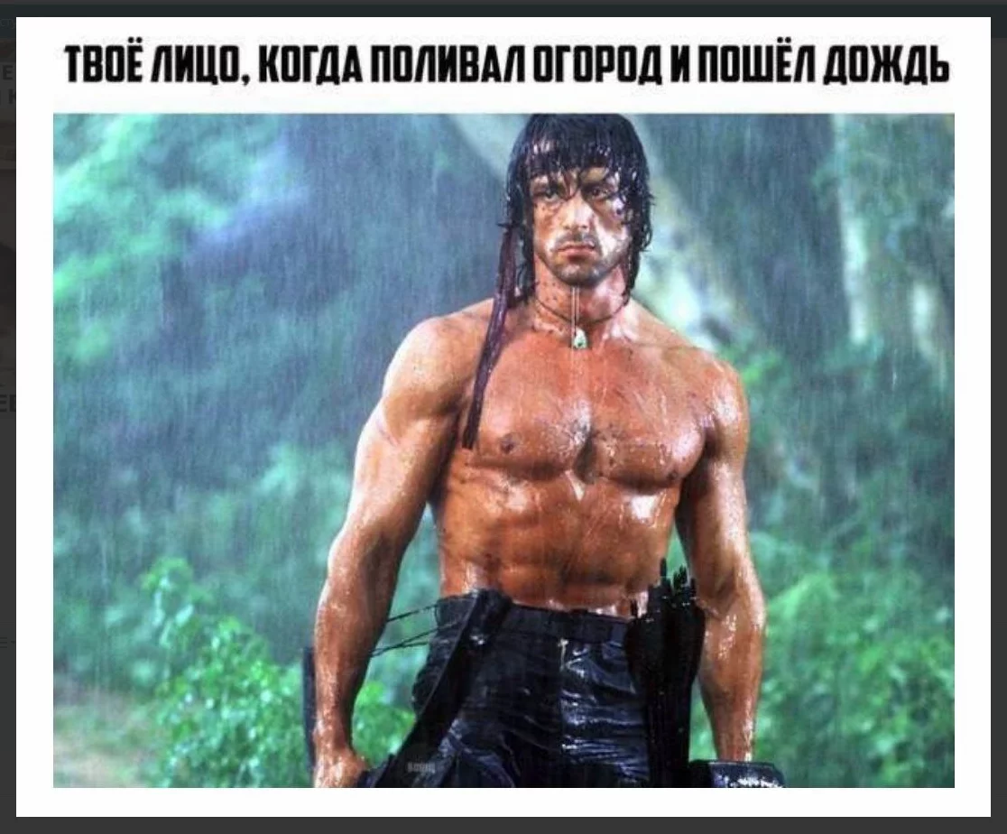 1694613479708.webp
