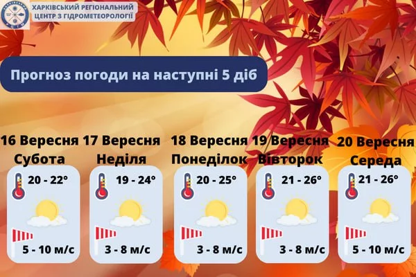 1694770209257.webp