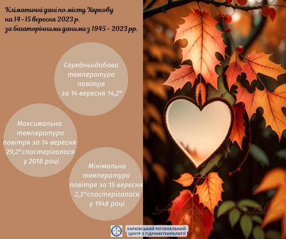1694770249751.webp