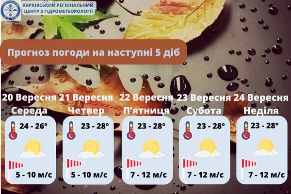 1695118541610.webp