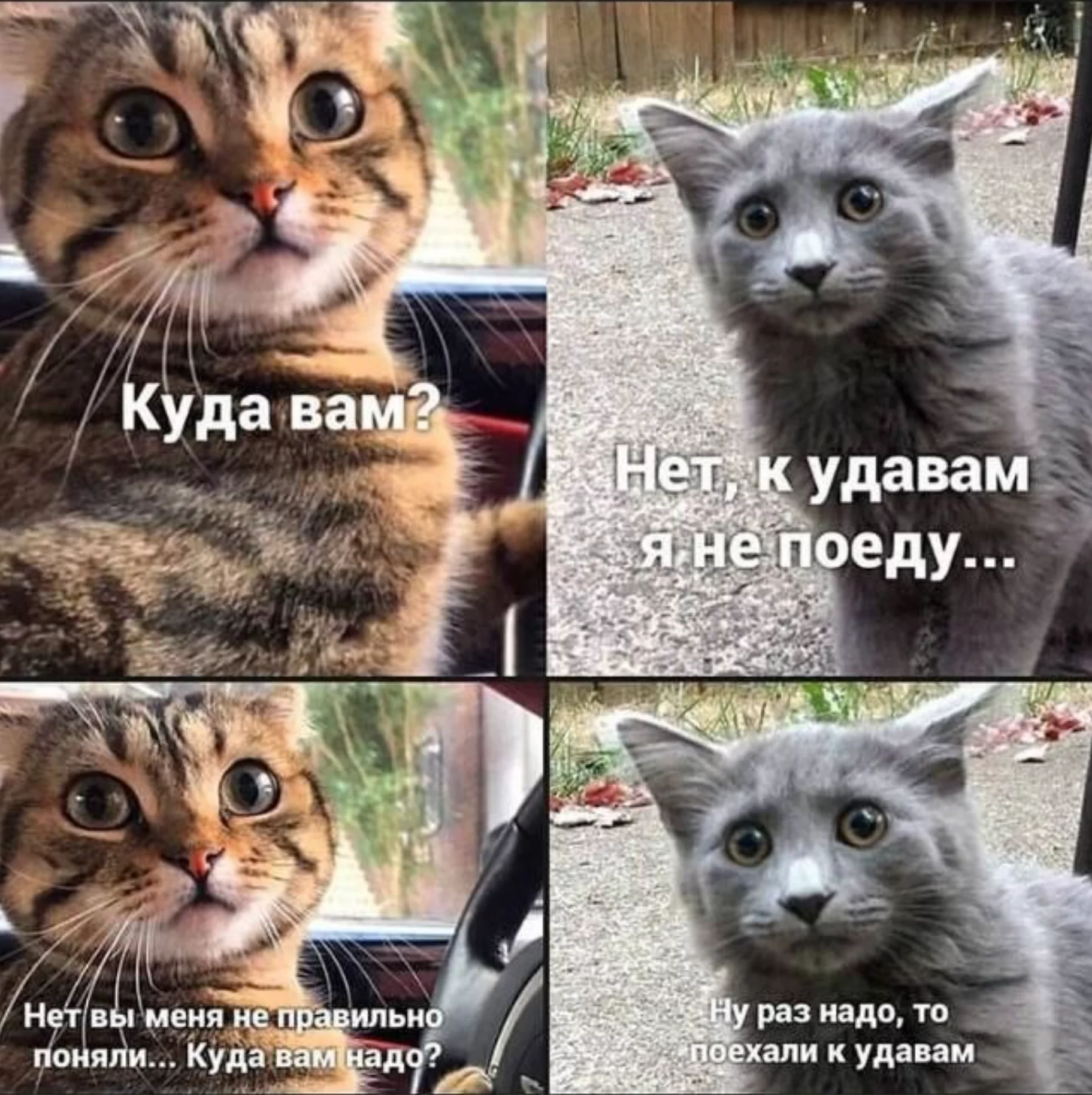 1696115553554.webp