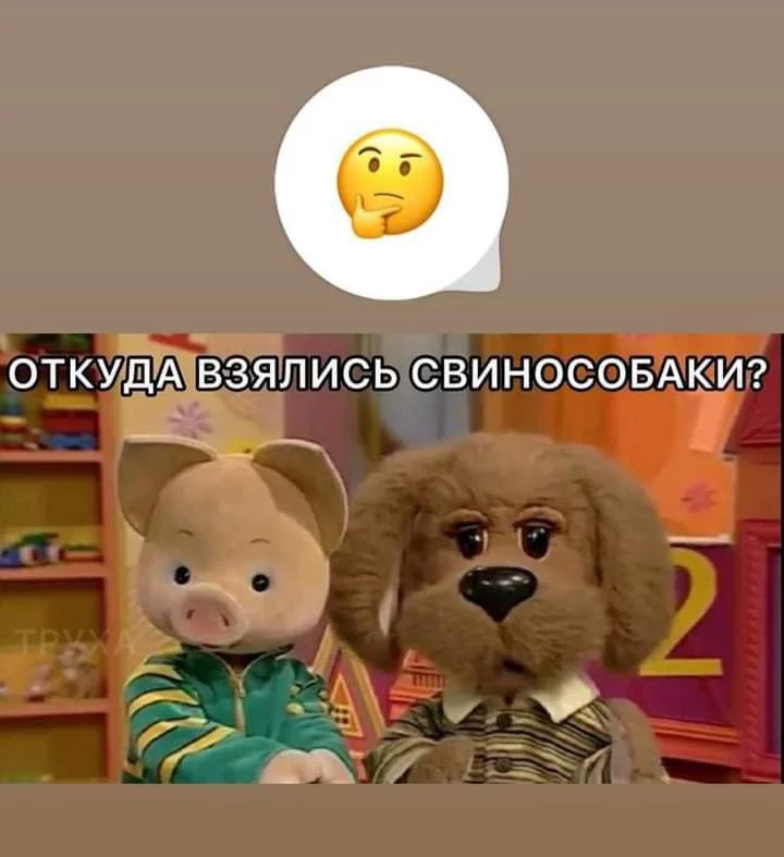 1696270075283.webp