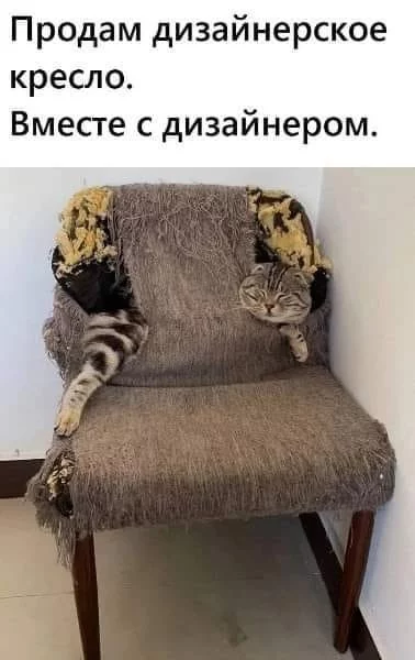 1696873355068.webp