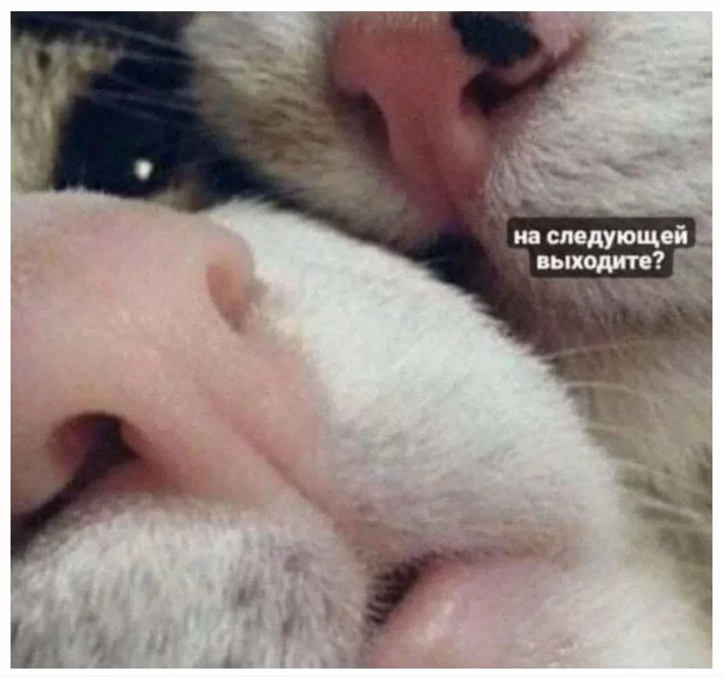 1697139358020.webp