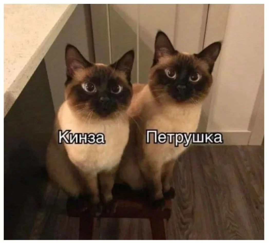 1697463536758.webp