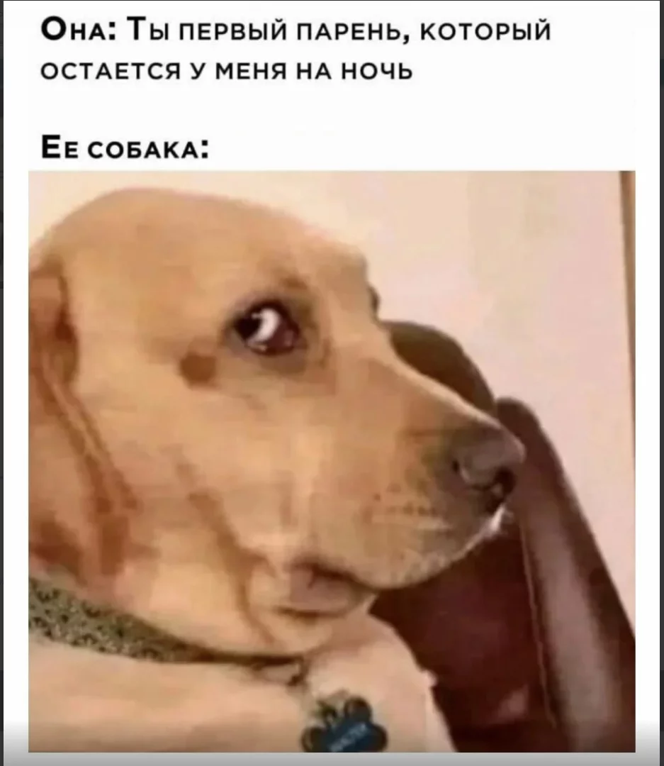 1697653171885.webp