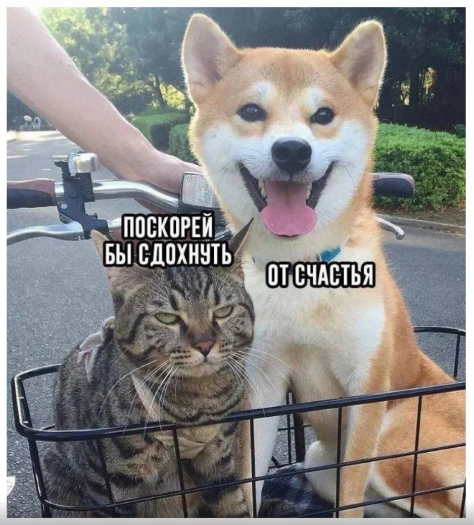 1697806604897.webp