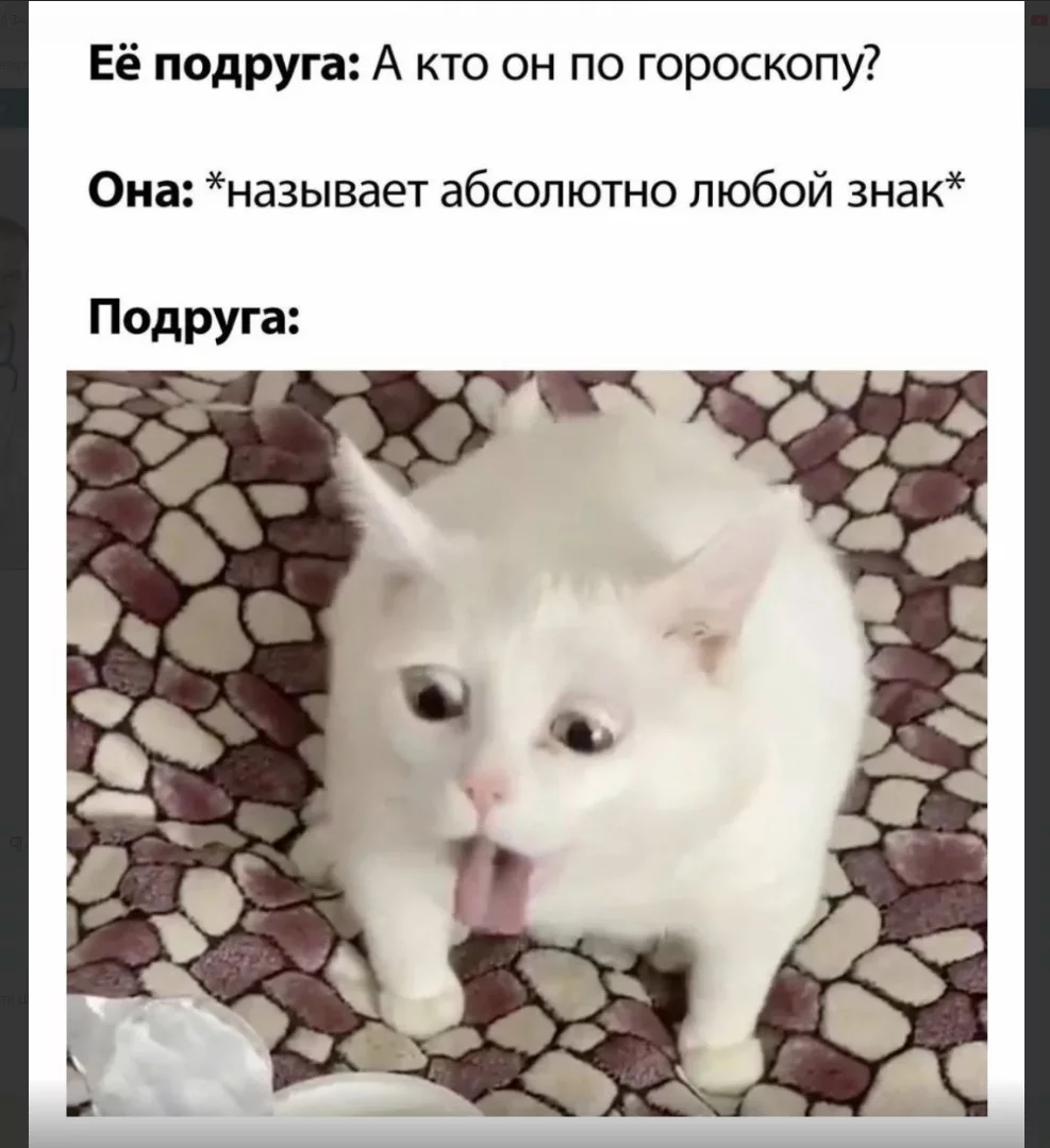 1697807588964.webp