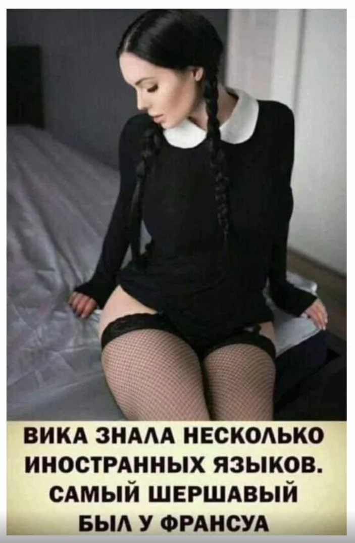 1697986502647.webp