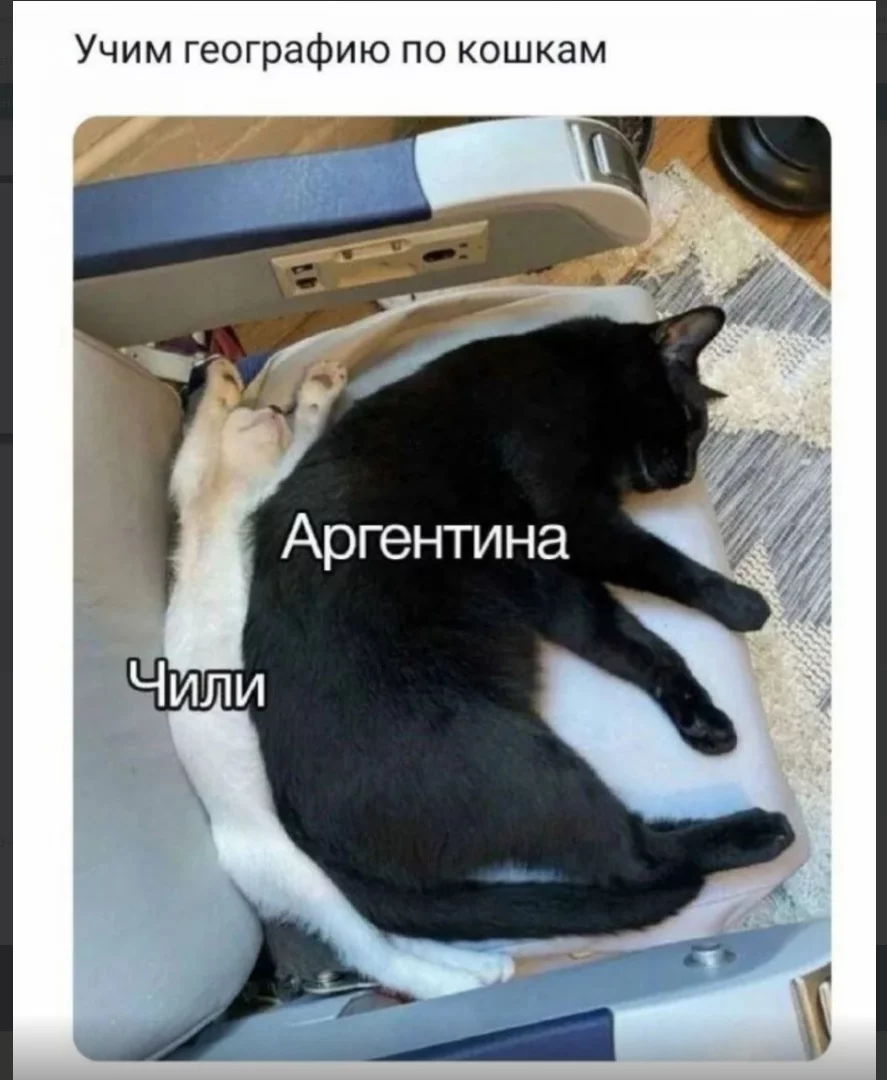 1697986575061.webp