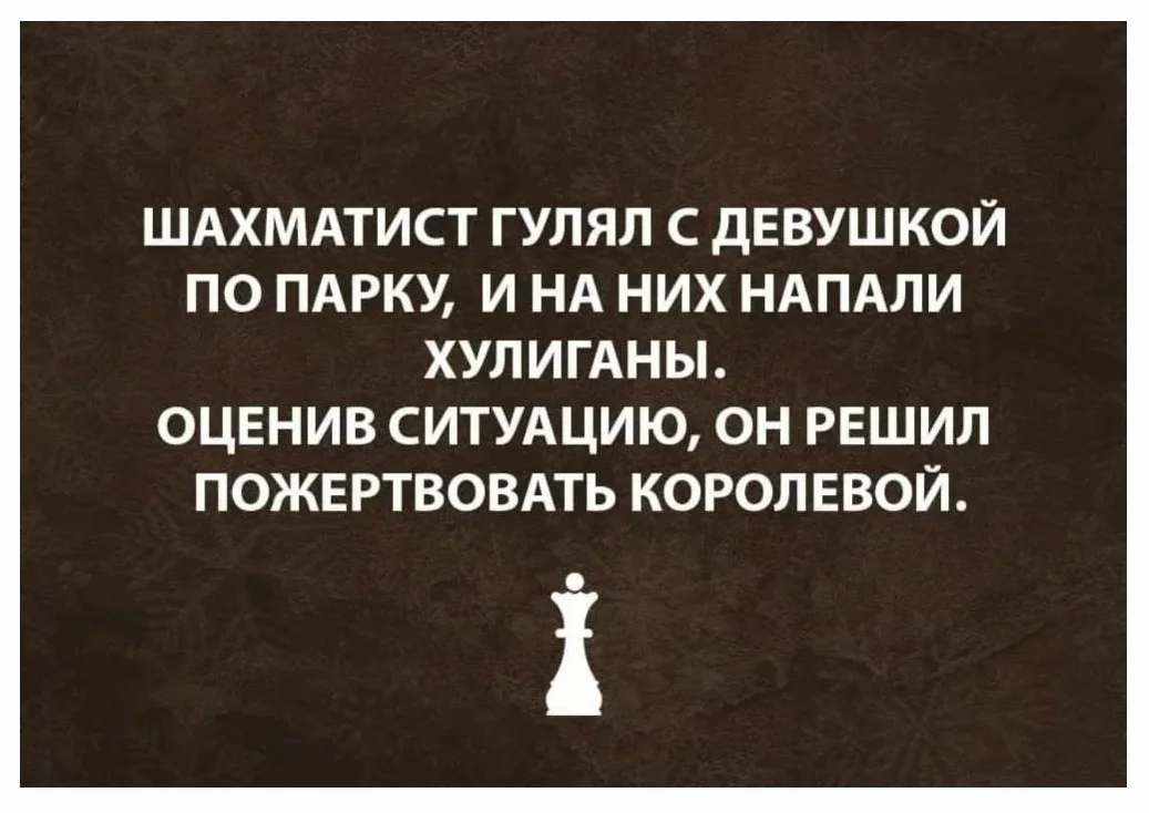 1697986835297.webp