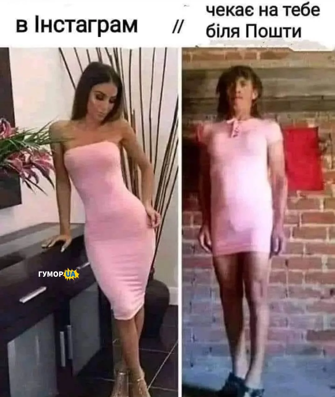 1698326447854.webp