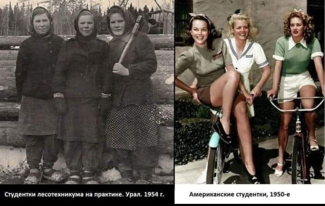 1698341769194.png