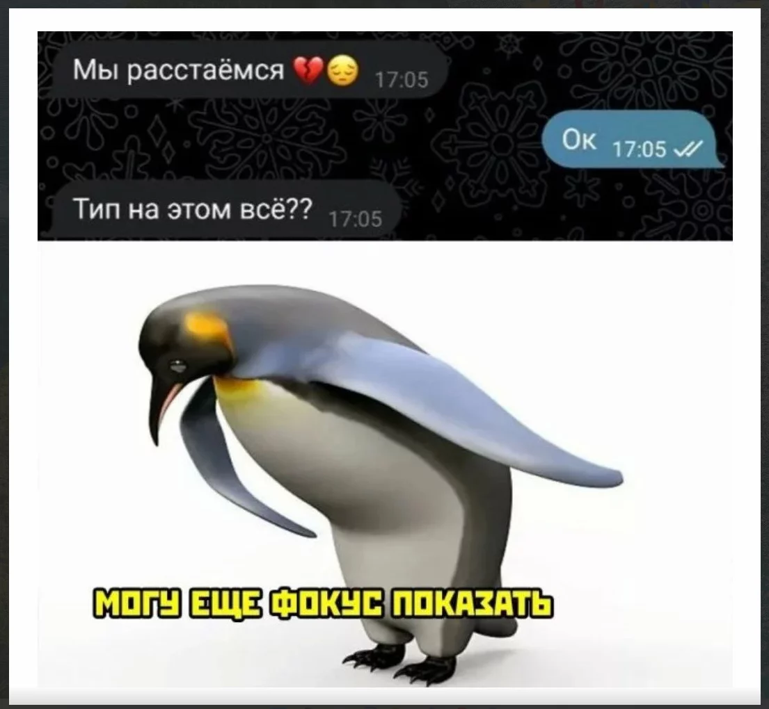 1698397618085.webp