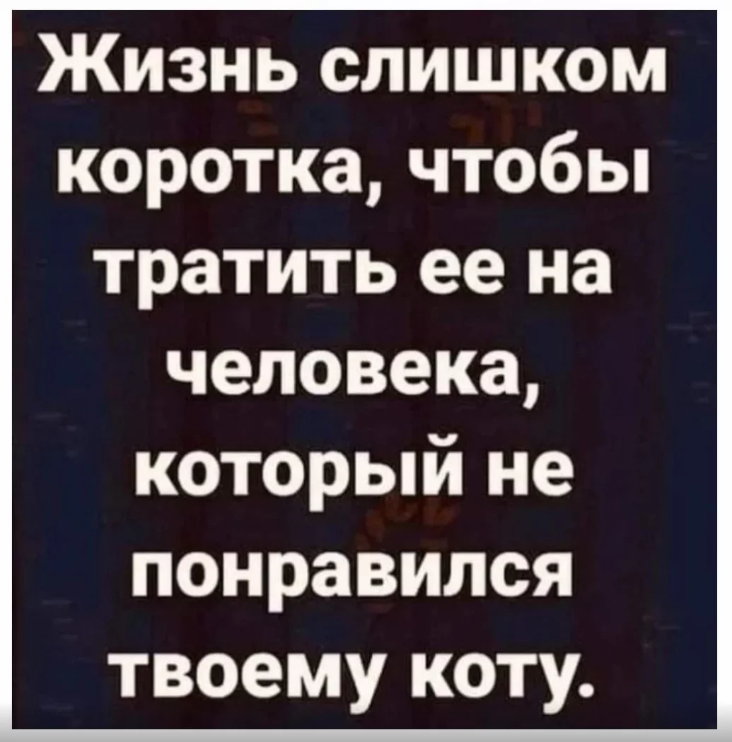 1698397805481.webp