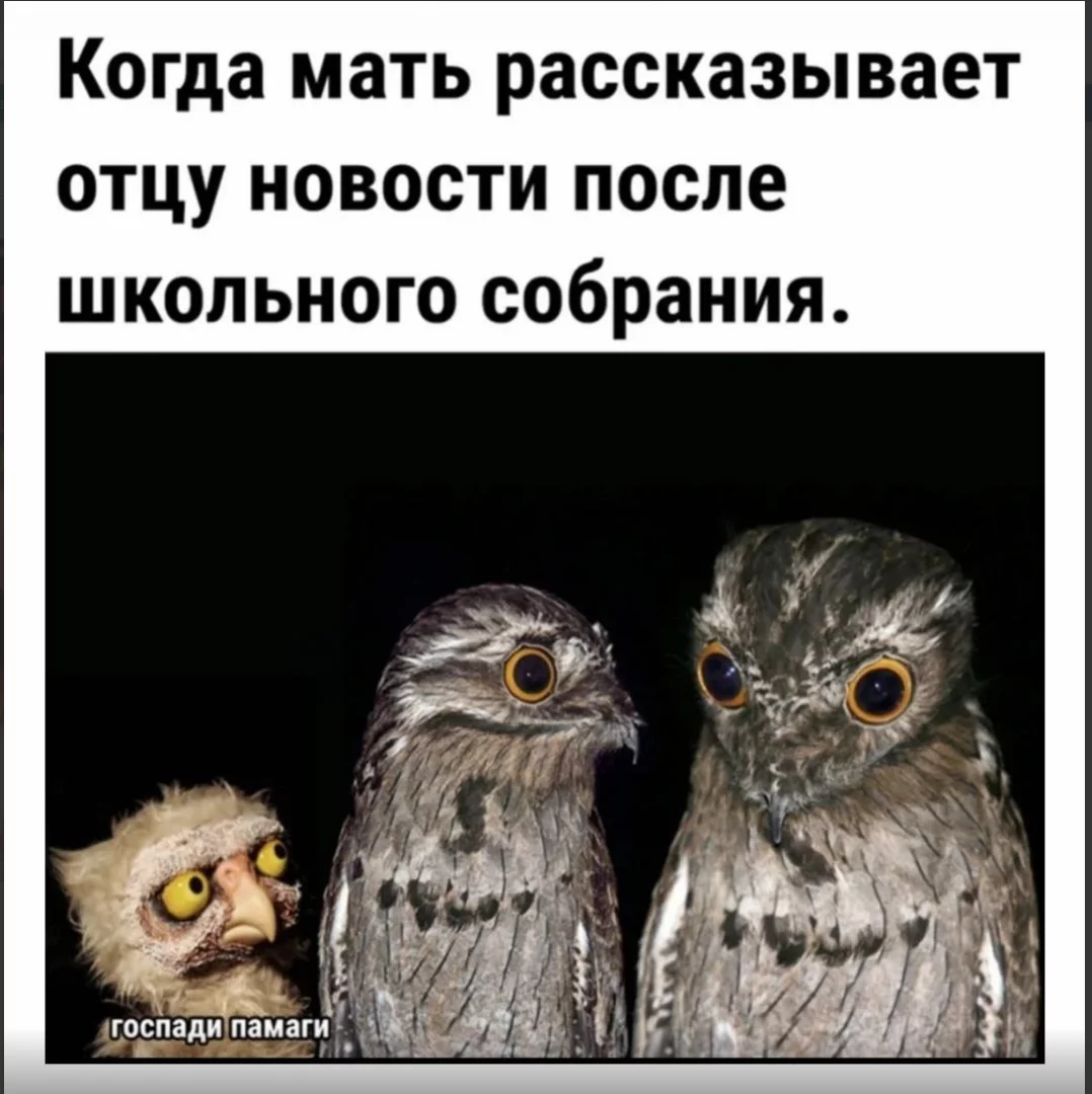 1698397882171.webp