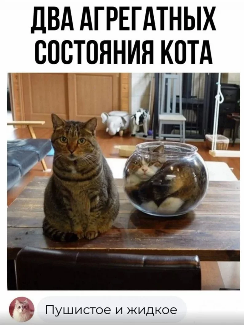1698598569397.webp