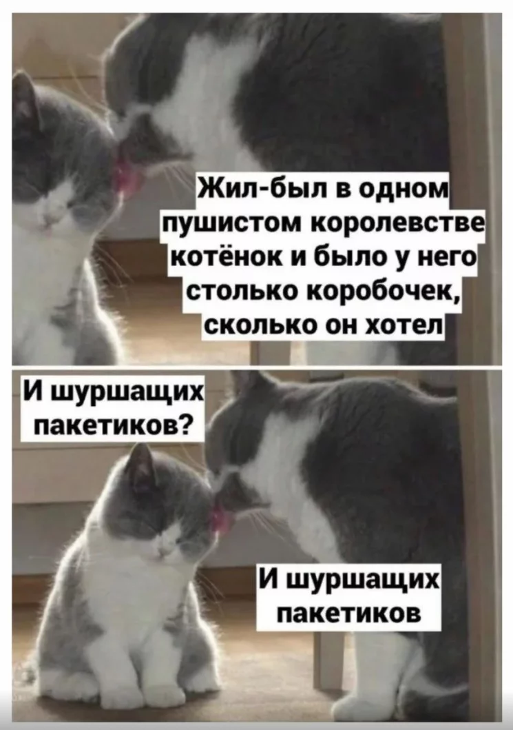 1698665844622.webp